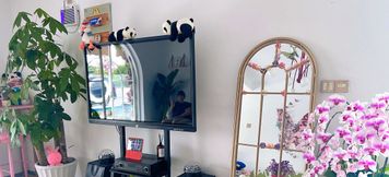 Lain-lain 2 IVAN HOUSE