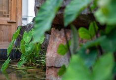 Khác 5 Qingxiang Manchu Guesthouse