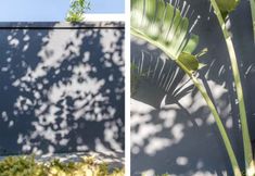 Lain-lain 7 Chilann Sanya