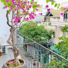 Hotel Interior/Public Areas 1 ラーホルム ホテル - アパートメント, 空軍士官学校 ホテル