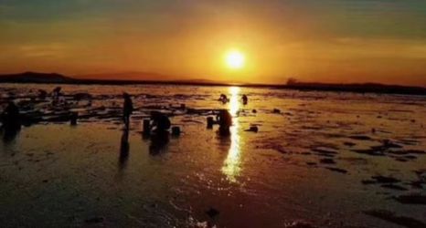 其他 2 Huayuhai Hotel, Weizhou Island