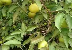 Khác 4 Fuxian Lake Ruiqi Inn