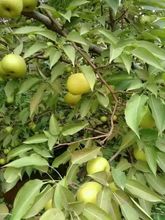 Khác 4 Fuxian Lake Ruiqi Inn