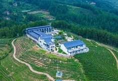 Others 7 Hanshang Yunjin Tea Theme Homestay