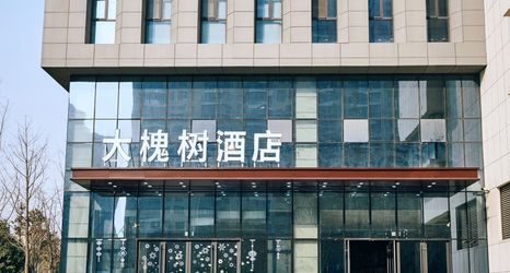 Others 2 Da Huai Shu Hotel (Mudan Plaza Wanda Branch)