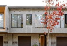 기타 5 Ichiseko - Annupuri Garden