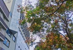 기타 3 XI'AN YUETING HOTEL