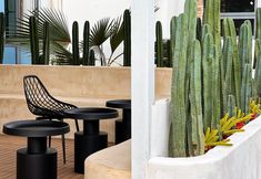 Others 7 Ninglu Homestay (Riyuewan)