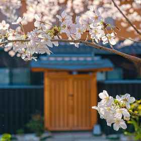 Hotel Exterior 1 SeseragiSakura, La Vita Hotels