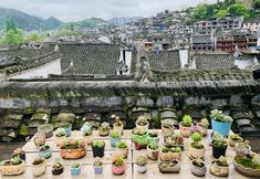 Others 5 Muheju Zen Hostel