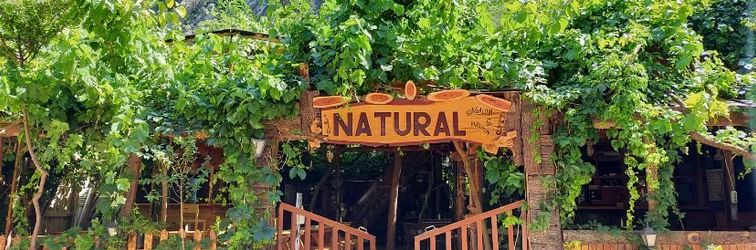 Lain-lain NATURAL PENSIYON