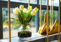 Others 7 Poltton International Apartment Gz Panyu