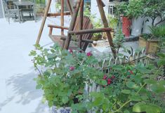 Lain-lain 3 One Time Hostel