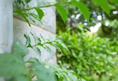 Others 6 Kaili Yajing Residence (Kaili College)