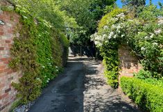 Others 3 Huntershields