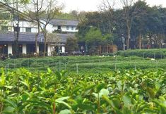 其他 7 Hangzhou Shusheng Longjing Hotel