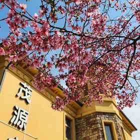 Hotel Exterior 1 MAOYUAN VILLA, Longhai Shi Villas