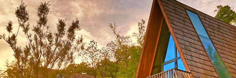 Others Tree Frog Resort Hotel