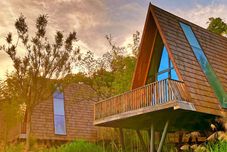 Others Tree Frog Resort Hotel