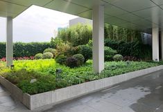 Lainnya 2 Foshan Yunpan · City Apartment