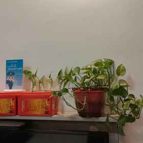 Others1Changsha Hongjin Boutique Hotel，Acad. of Agri-Sciences & Agri-University飯店