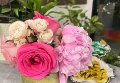 Others 7 Dream House Garden Hotel