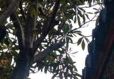 其他 7 Wuxiangji Inn