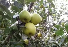 Khác 2 Fuxian Lake Ruiqi Inn