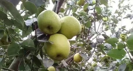 Khác 2 Fuxian Lake Ruiqi Inn