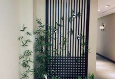 기타 5 yunshangtaihu