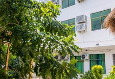 その他 7 surfers garden