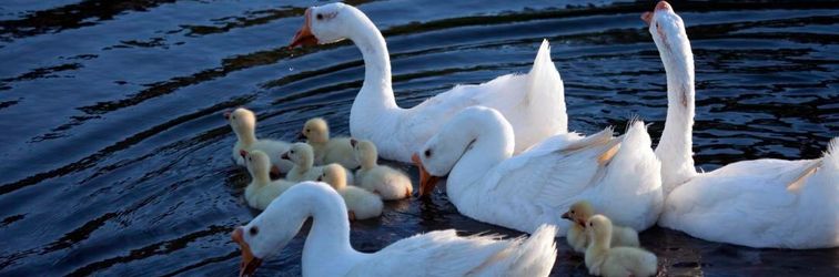 其他 Gebi Qingquan Hotel