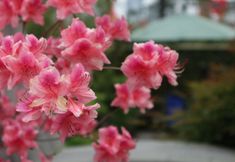 其他 5 JI Hotel (Hefei Nanzhan Luogang Zhongyang Gongyuan)