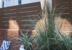 Others 4 Shanghai July Light Luxury Hotel