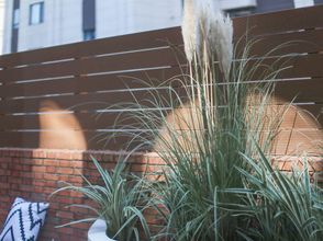 Others 4 Shanghai July Light Luxury Hotel