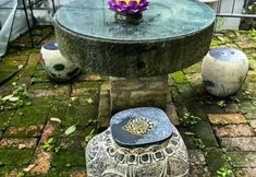 Others 6 Satiya Zen Stay at Emei — Rooted in Art & Nature