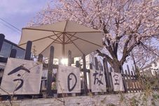 Others YUJING Mountain Party B&B