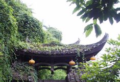 其他 5 Little Bear Home Inn(Furong Town Scenic Area Store)