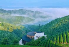 Others 7 Longxingchong TeaTel Hostel