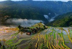 Lain-lain 7 Yunhuan Mijing Hostel