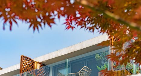 Others 2 Wanfeng Linna Mountain home stay