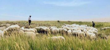 その他 2 Gebi Qingquan Hotel