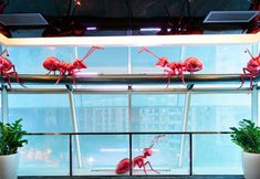 Others 4 RedAnt Hotel (Chongqing Jiefangbei Pedestrian Street)