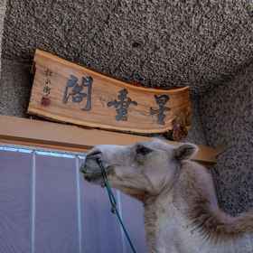 Hotel Exterior 1 XINGCHUIGE, โรงแรม & ที่พัก อะเกไซ ฮาซาเกสึ ซิซี่เซี่ยน