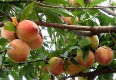 Khác 3 Fuxian Lake Ruiqi Inn