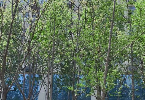 其他 Ke YueYa Hotel