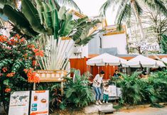 Lain-lain 3 Sanya IPK Backpackers Hostel