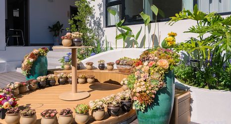 Others 2 Dali Ancient City Yunxiwan Homestay