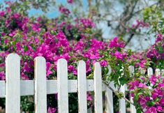 อื่นๆ 4 Dali Quye Homestay