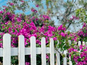 อื่นๆ 4 Dali Quye Homestay